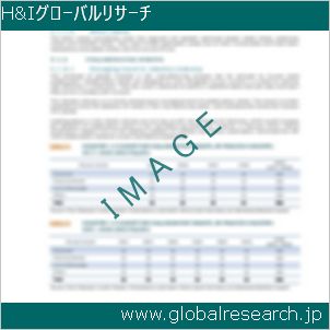 グローバルリサーチ調査レポートのイメージ